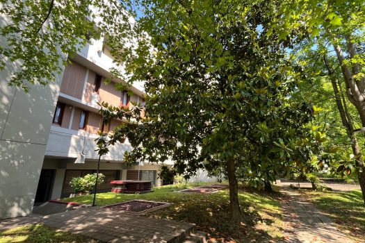 TRILOCALE CON TERRAZZO- MM ISTRIA