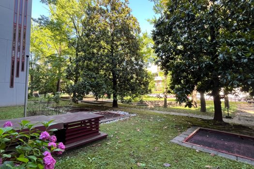 TRILOCALE CON TERRAZZO- MM ISTRIA