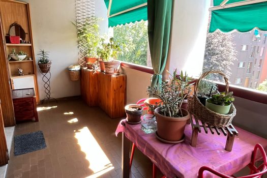 TRILOCALE CON TERRAZZO- MM ISTRIA